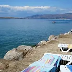 Temel Türkeli